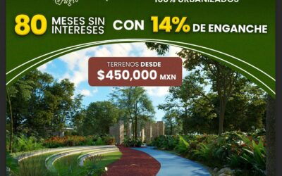 Promoción Silvestre